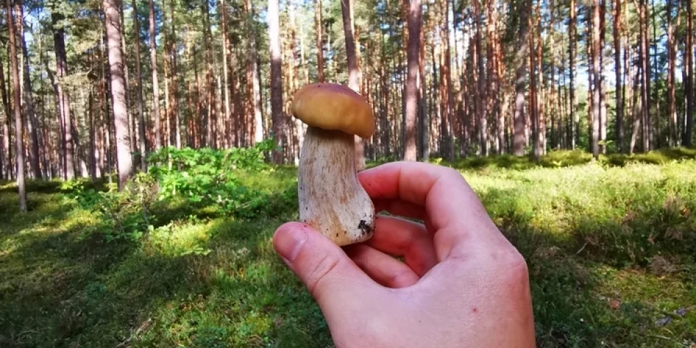 Иллюстративное фото.