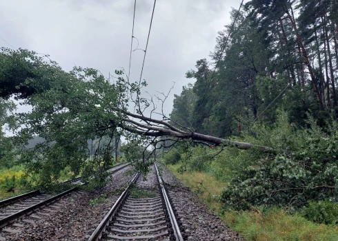 LDz atjaunojis kontakttīklu vairāku simtu metru garumā un atbrīvojis sliedes no vairākiem simtiem koku.