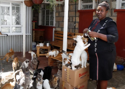 Reičela Kabue izveidojusi Nairobi kaķu patversmi. Viņai ar māti Džeinu kaķu nodoklis varētu sist pa kabatu.