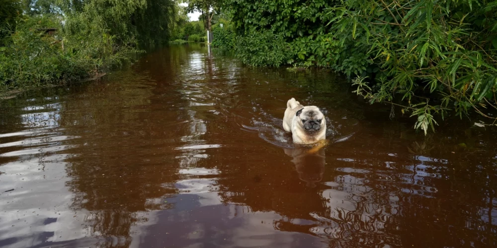 Ceļoties ūdens līmenim Svētē, applūdis Tušķu ciems Jelgavas novadā.
