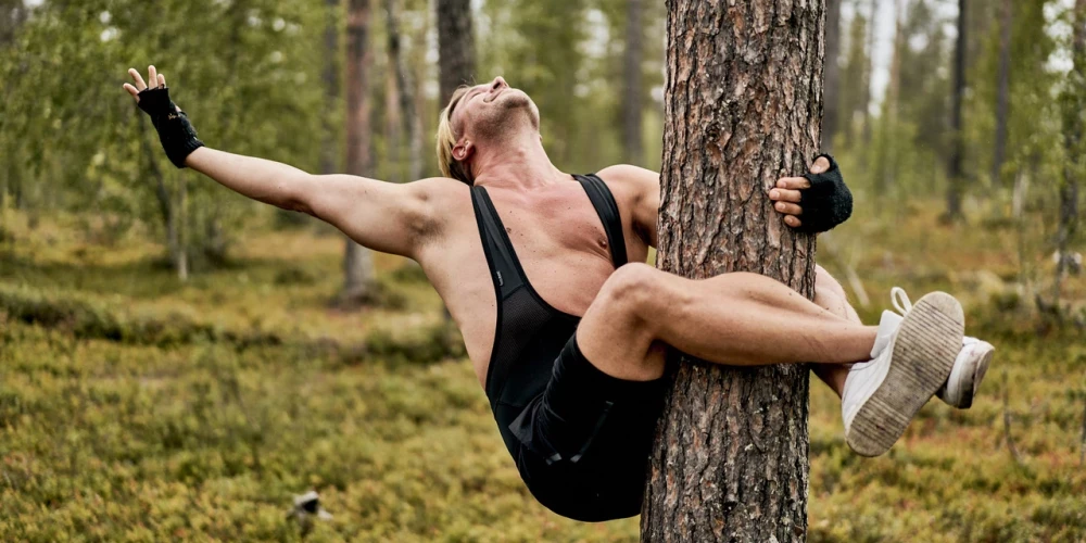Koku apskaušanas čempionāta aina (publicitātes foto)