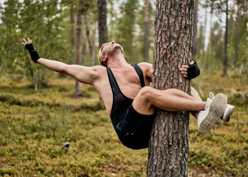 Koku apskaušanas čempionāta aina (publicitātes foto)