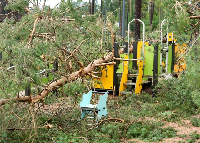 Лесопарк Дзинтари убрали после бури - он снова открыт для посетителей