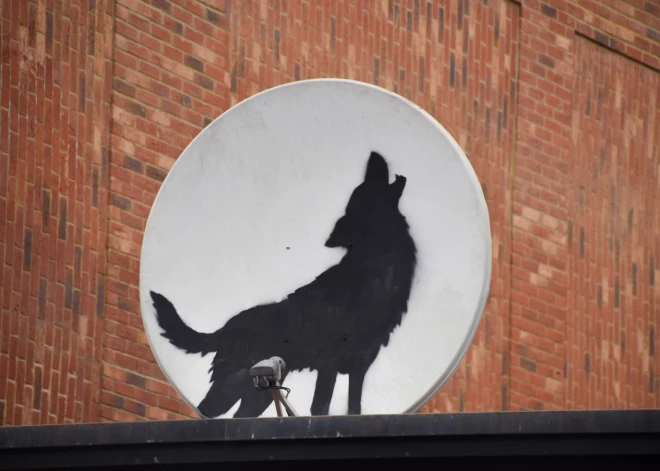 FOTO, VIDEO: Benksija gaudojošā vilka mākslas darbs  tiek nozagts vien pāris stundas pēc atklāšanas