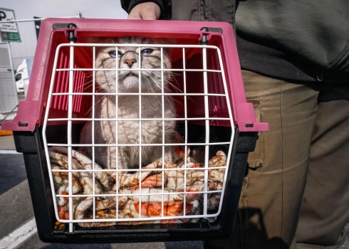 Iedzīvotājus aicina pēc iespējas ātrāk evakuēties.