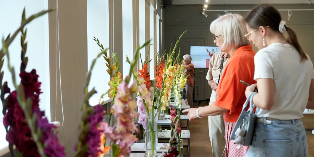 Izstāde "Gladiolas 2024" Latvijas Dabas muzejā.