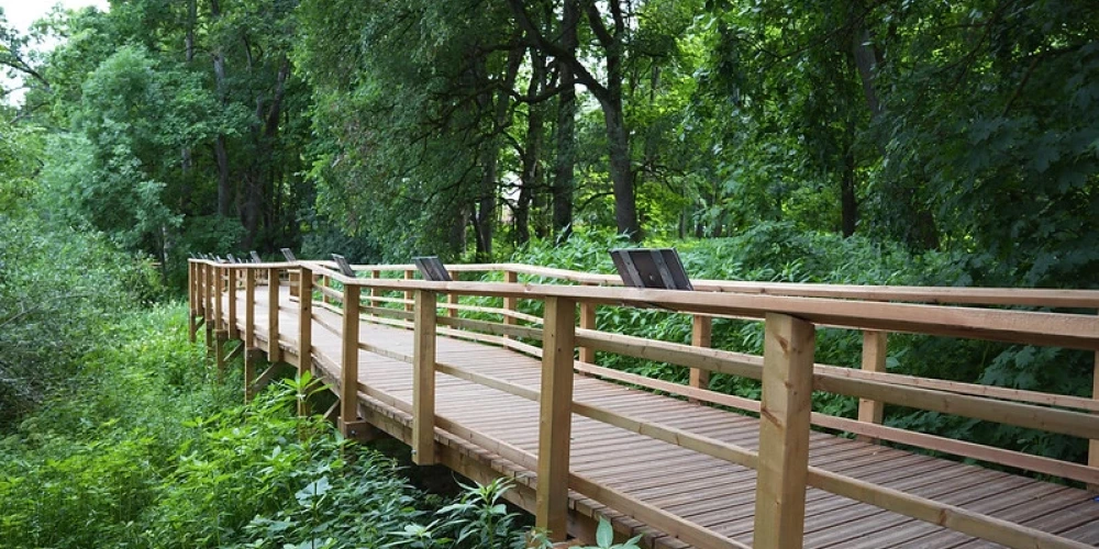 Прогулочная тропа длиной 250 метров.