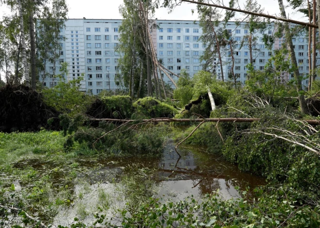 Пункты приема веток, сорванных ураганом, в Риге все еще работают