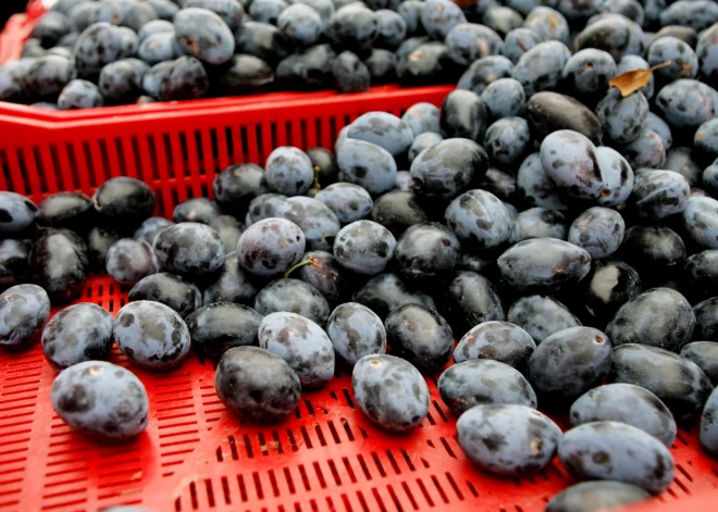 Vai tiešām kaut kas tāds ir iespējams? Pircēju veikalā Cēsīs izbrīna produkta izcelsmes valsts