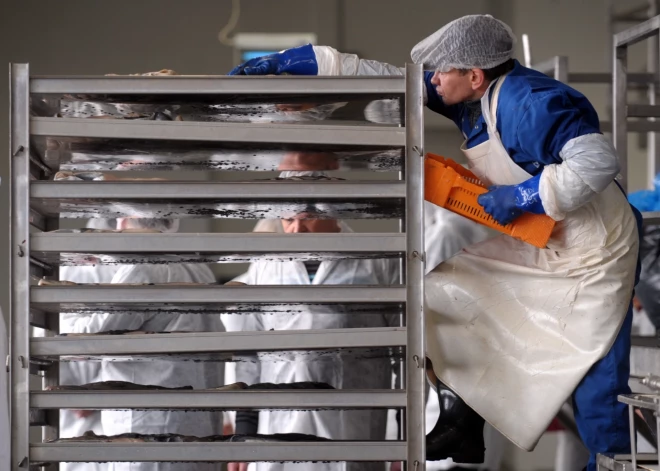 Vidējā bruto darba alga otrajā ceturksnī Latvijā pieaugusi par 9,6%