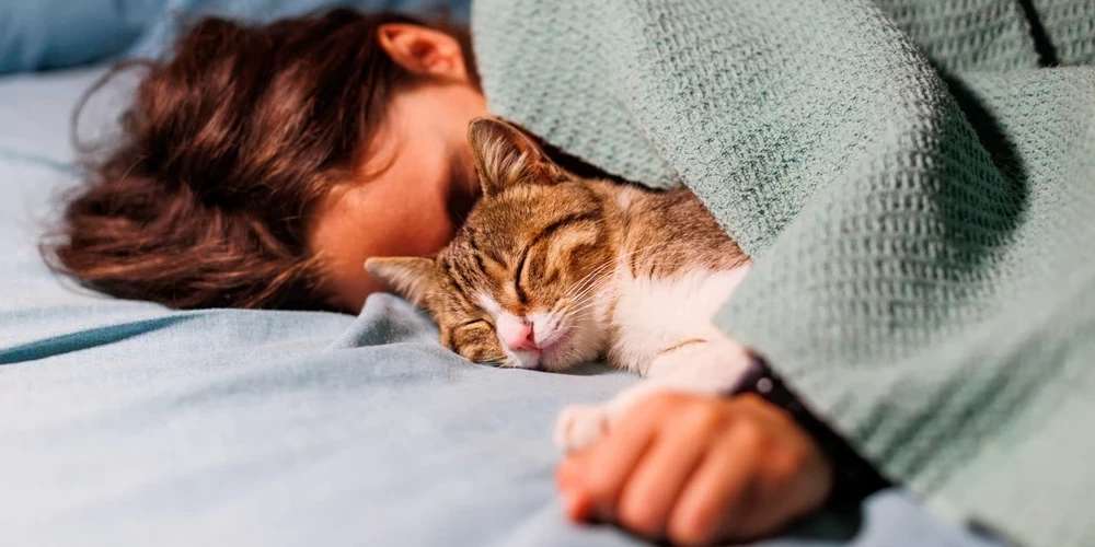 Tiek uzskatīts, ka cilvēkam vajadzīgas astoņas stundas miega.