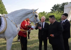 2024. gada 20. jūnijā redzams, kā Krievijas prezidents Vladimirs Putins un Ziemeļkorejas līderis Kims Čenuns glāsta un baro zirgu, kamēr abi diktatori pastaigājās Kumsusanas štata viesu nama dārzā Phenjanā.