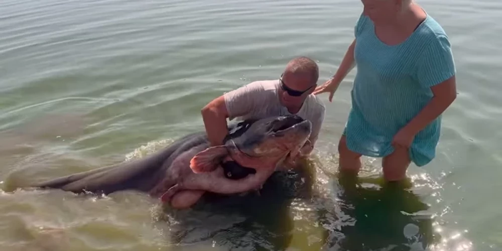 С рыбой пришлось побороться!