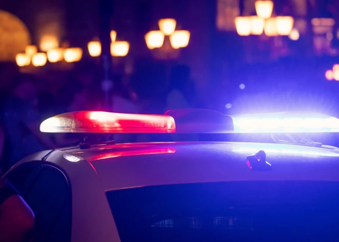 Valsts policija informē, ka ir atrasts 2009. gadā dzimušais Ričards Ločmelis