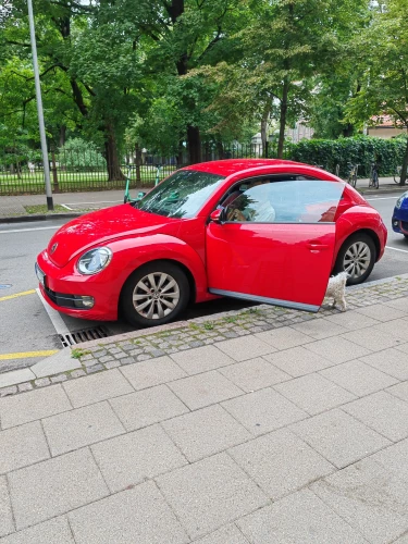 Bernāla iekāpa košsarkanā un spožā, taču vismaz 12 gadus vecā "Volkswagen" vabolītē, kas nu viņai kalpo braucieniem turīgā vīra reiz dāvāto ekskluzīvo "Porsche" automašīnu vietā.