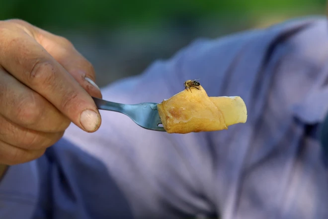 Medum šis ir labs gads, Ivars lēš, ka ievāks apmēram tonnu.