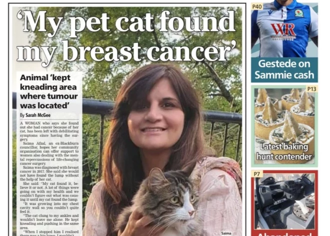 Удивительное рядом: кот спас жизнь женщины, предупредив ее о раке груди