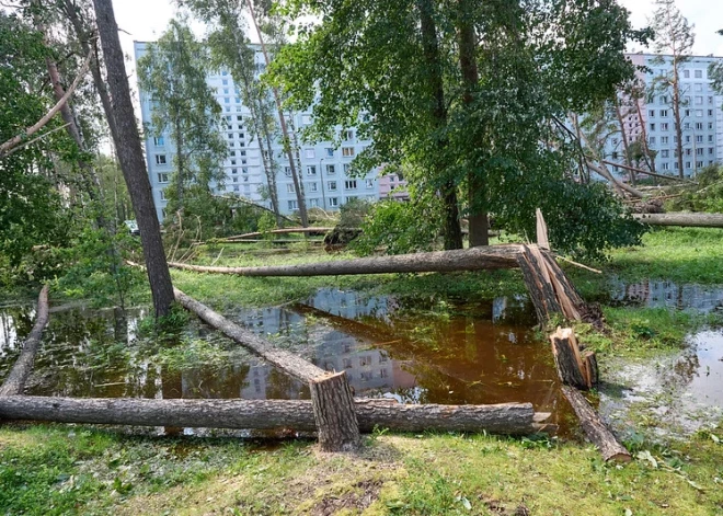 Latvijas Banka: vētras radīto zaudējumu atlīdzināšana izgaismoja apdrošināšanas nozares nepilnības