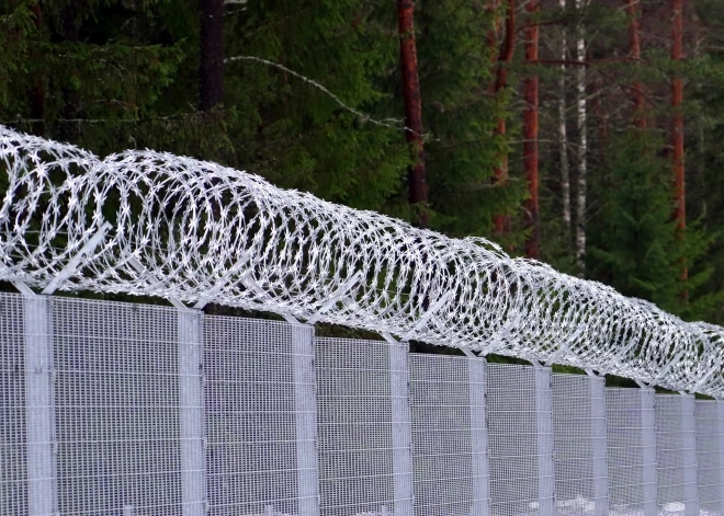 Организация по поддержке беженцев призывает страны Балтии и Польшу прекратить "вытеснять мигрантов"