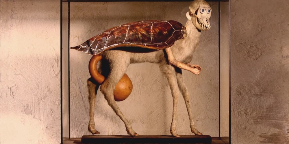 Jans Švankmajers. “FaleÁn† ßelva I. (Mock turtle I)” (2008). Slavenajam čehu sirreālisma kinorežisoram Janam Švankmajeram un viņa sievai Evai veltītā izstāde skatāma Rotko muzejā Daugavpilī.