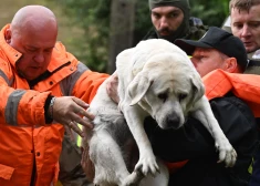 Polish rescuers and soldiers evacuate local residents and their dog in the village of Rudawa, southern Poland, on September 15, 2024. One person has drowned in Poland and an Austrian fireman has died responding to floods, authorities said, as Storm Boris lashed central and eastern Europe with torrential rains. Since Thursday, September 12, 2024, swathes of Austria, the Czech Republic, Hungary, Romania and Slovakia have been hit by high winds and unusually fierce rainfall. The storm had already caused the death of five people in Romania, and thousands have been evacuated from their homes across the continent. (Photo by Sergei GAPON / AFP)