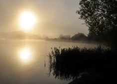 Migla virs Šuņezera vai Šuņazara Daugavpils pilsētā.