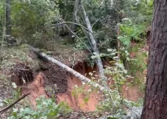 VIDEO: netālu no Baldones, iespējams, izveidojusies jauna karsta kritene