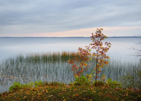 No Miķeļdienas arī sākas klusais veļu laiks, kas ilgs līdz Mārtiņiem. Šajā laikā mirušo gari nāk apraudzīt savas mājas, piederīgos un mieloties ar rudens ražu. 