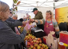 FOTO: danči, līksmība un rudens labumi. Doma laukumā norit Miķeļdienas gadatirgus