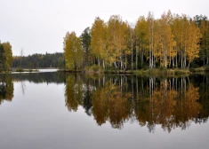 В Латвии началась метеорологическая осень - лето длилось 135 дней, как и в 2004 году