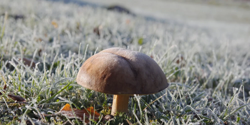 Иллюстративное фото.