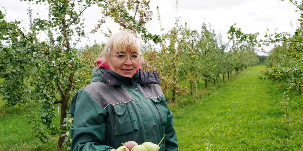 Dārzkopības institūta vadošā pētniece, augļkope Ilze Grāvīte.