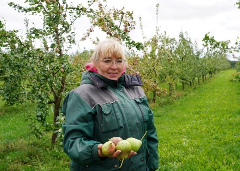 Dārzkopības institūta vadošā pētniece, augļkope Ilze Grāvīte.