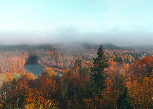 Gaujas Nacionālais parks ir Latvijas pirmais un vecākais nacionālais parks, kas dibināts 1973. gada 14. septembrī ar mērķi aizsargāt Gaujas senlejas un tās apkārtnes unikālās dabas vērtības.