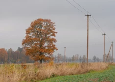 Sestdien Latvijā nav gaidāmi nokrišņi