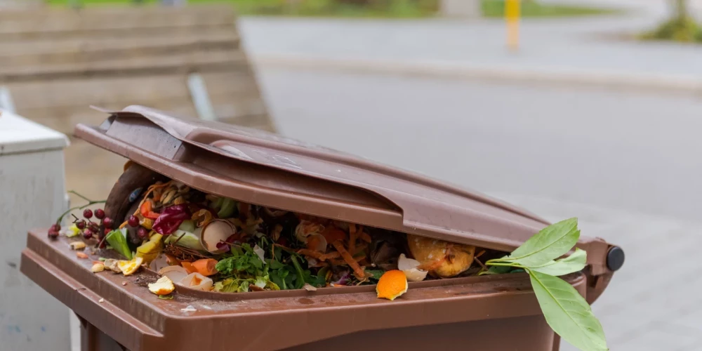 Иллюстративное фото.