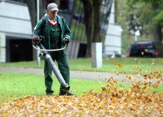 No 2. novembra līdz 1. decembrim rīdzinieki varēs bez maksas nodot savāktās koku un krūmu lapas