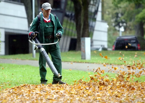 Strādnieks ar lapu pūtēju savāc rudens lapas.