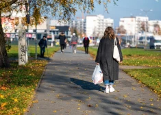 Zāļu pieejamība ir viena no Veselības ministrijas prioritātēm, taču nepietiekamais finansējums kompensējamajiem medikamentiem ierobežo iespējas segt visu pacientu vajadzības.