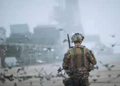 Patlaban krīzes situācijās militārajā dienestā nevar pieņemt motivētus ārzemniekus.
