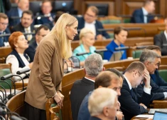Saeima ceturtdien noraidīja opozīcijā esošā politiskā spēka "Apvienotais saraksts" iesniegtos grozījumus.