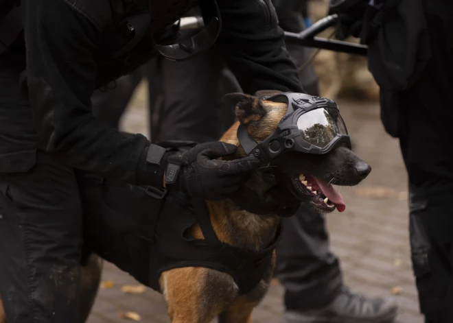 Valsts drošības dienesta pretterorisma mācības "Wolmar 2024" (foto: VDD)