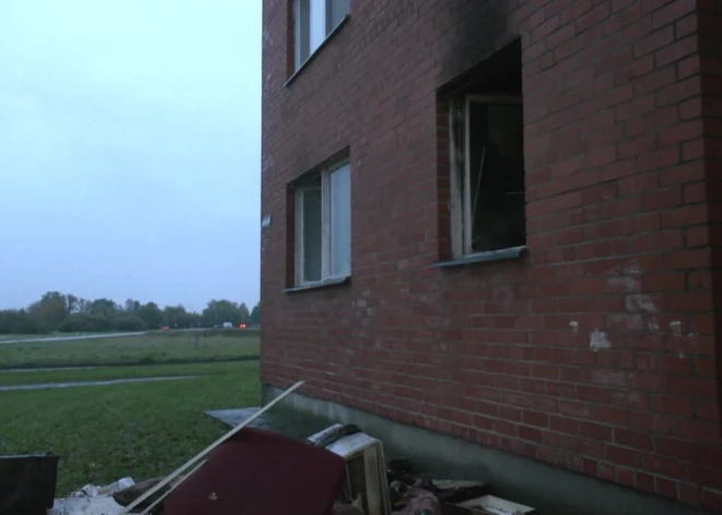 "Сначала спасите кошку!" В Елгаве на кухне вспыхнул пожар - один из приборов внезапно загорелся