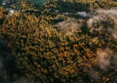 FOTO: cilvēki dodas uz Siguldu pēc smukuma! Izveidojušies pat apmeklētāju sastrēgumi