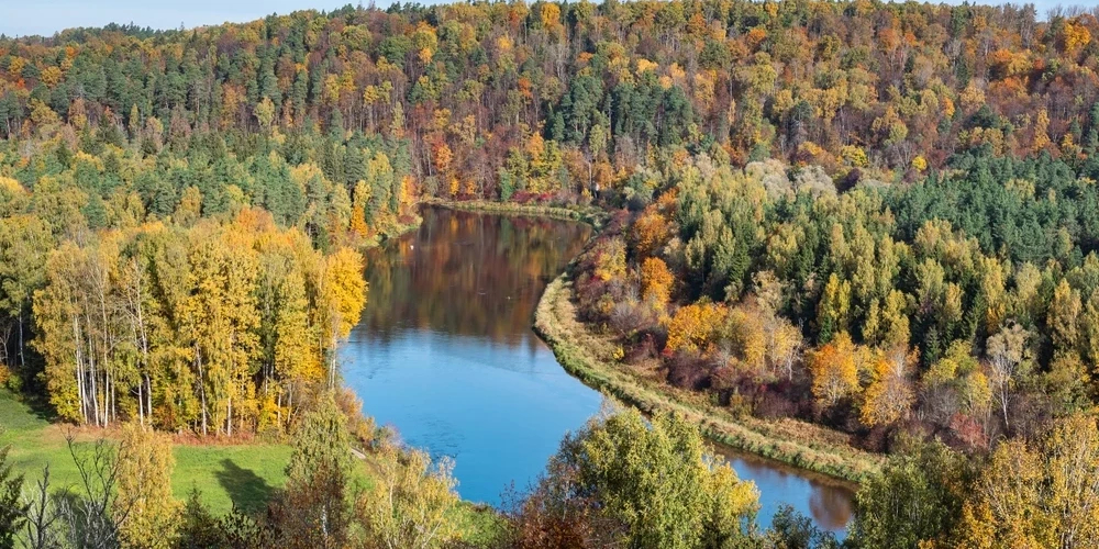 Долина реки Гауя осенью.