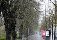 Обычно первый снег в Латвии выпадает в октябре. Будет ли так и в этом году?