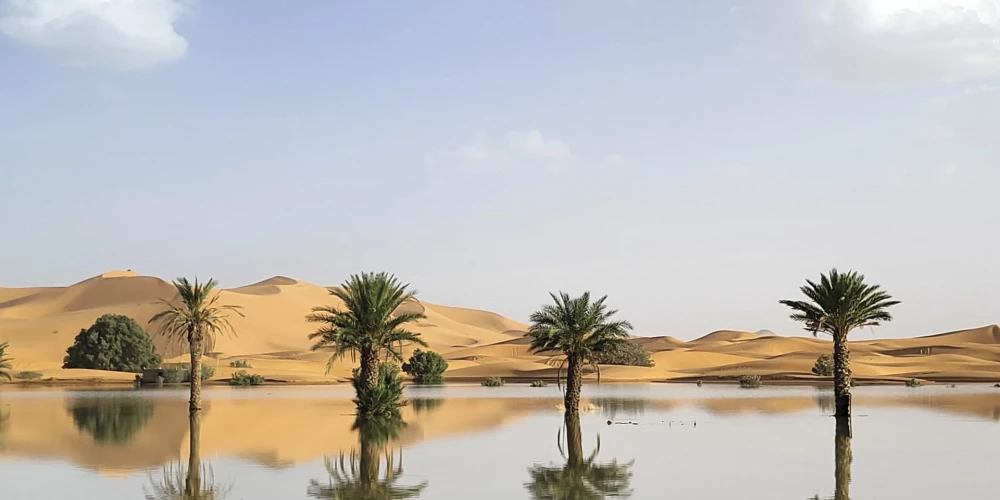 Palm trees are reflected in a lake caused by heavy rainfall in the desert town of Merzouga, near Rachidia, southeastern Morocco, Wednesday, Oct. 2, 2024.  (AP Photo)  XMS103