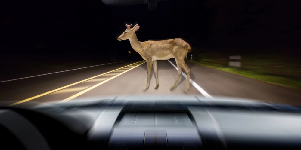 Иллюстративное фото.