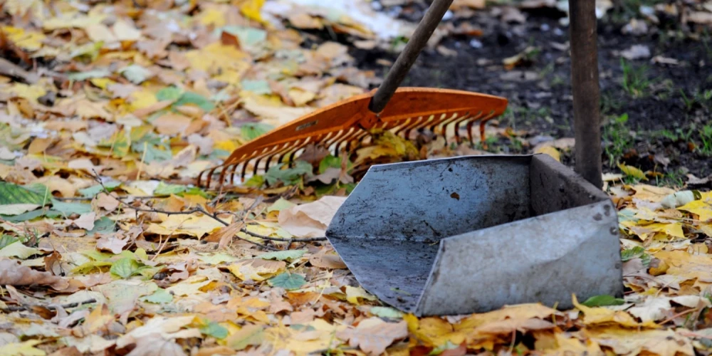 Grābeklis un liekšķere.