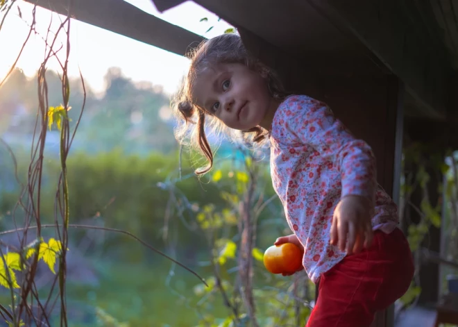 Vienu nedēļu pie mammas, otru pie tēta: kas jāzina, ja bērns dzīvo divās mājās